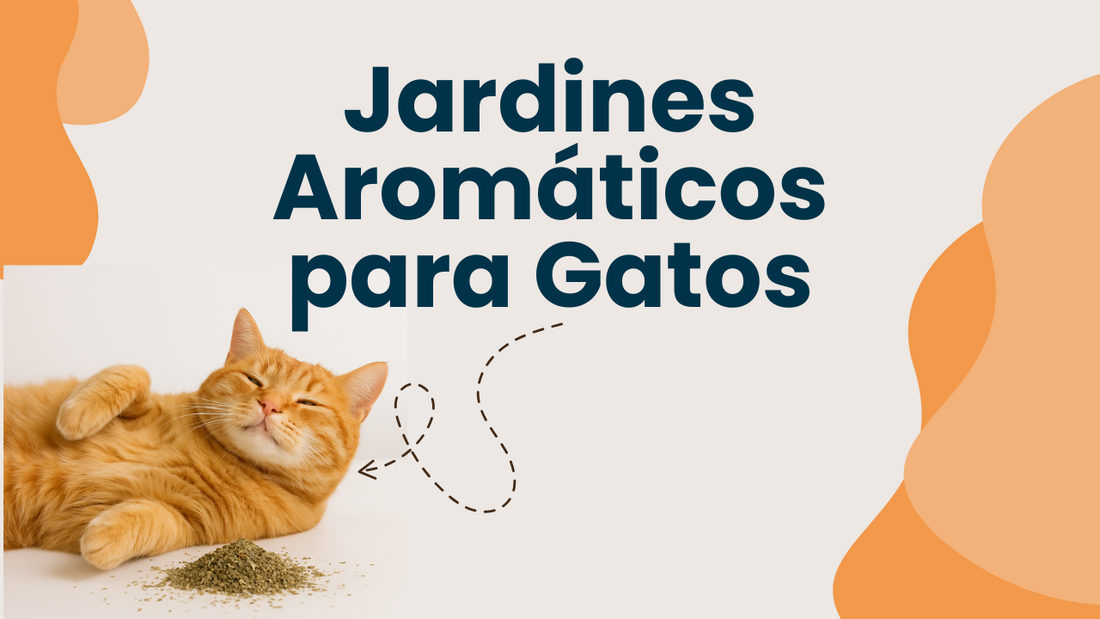 Jardines Aromáticos para Gatos