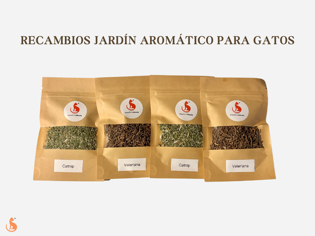 Recambios Jardín aromático para gatos