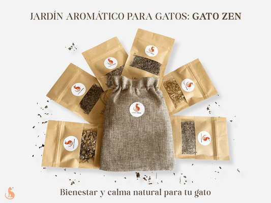 jardin aromatico para gatos gato zen