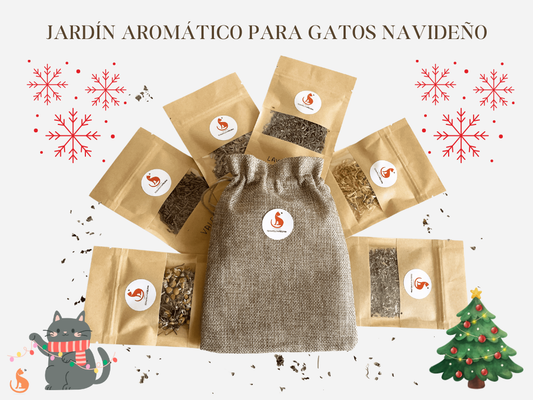 🎄 Edición NAVIDAD: Jardín Aromático para Gatos