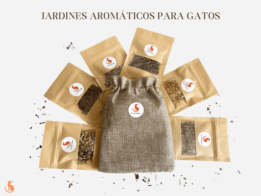 jardin aromatico para gatos de hierbas secas
